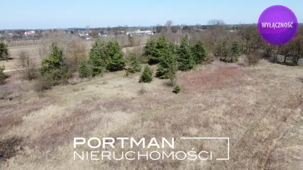 Radwanków szlachecki   5