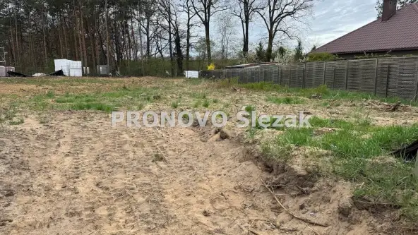 Wilczyn ,  Polna   2