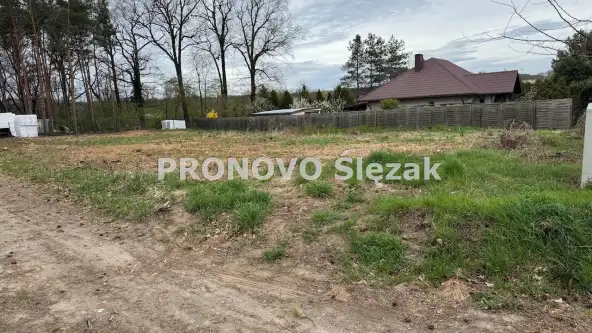 Wilczyn ,  Polna   6