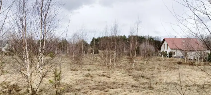 Strzepcz ,  Aleja Zdrowia   2