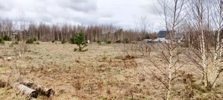 Strzepcz ,  Aleja Zdrowia   3