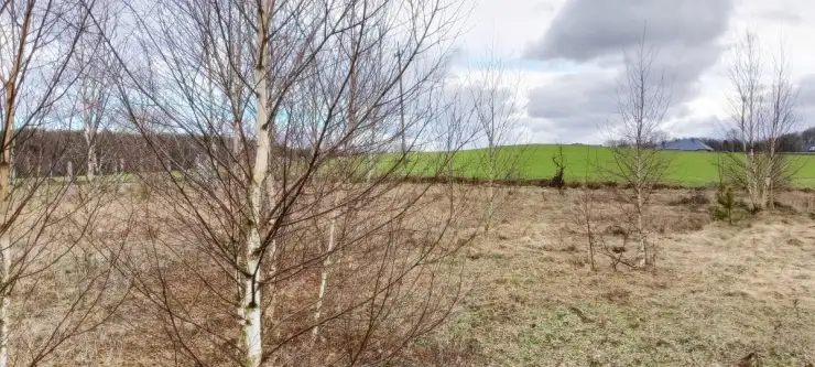 Strzepcz ,  Aleja Zdrowia   4