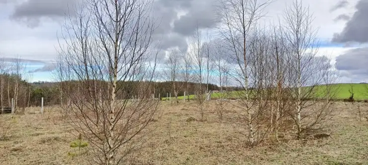 Strzepcz ,  Aleja Zdrowia   5