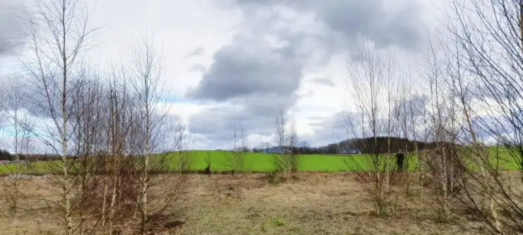 Strzepcz ,  Aleja Zdrowia   8