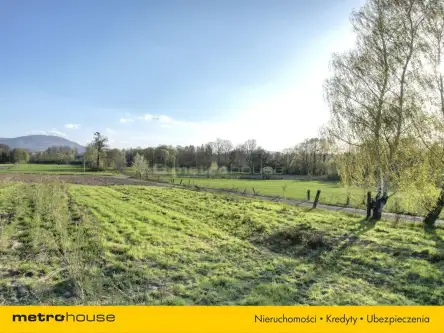 Ustroń ,  Przetnica   5