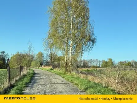 Ustroń ,  Przetnica   7