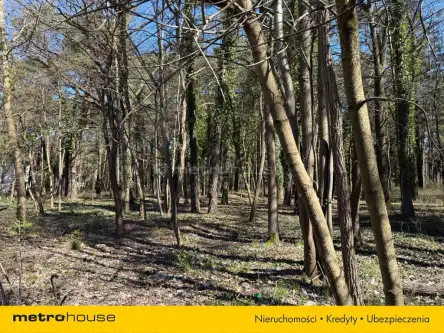 Konstancin-jeziorna ,  Warecka   7