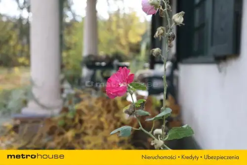 Grotniki ,  Zielona   10