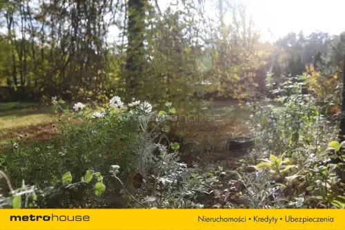 Grotniki ,  Zielona   11