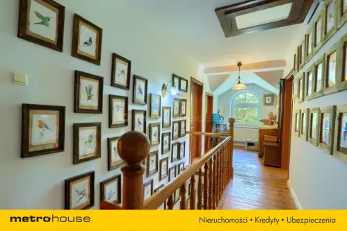 Grotniki ,  Zielona   22