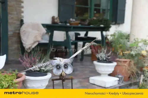 Grotniki ,  Zielona   2