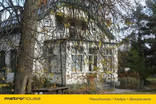 Grotniki ,  Zielona   4