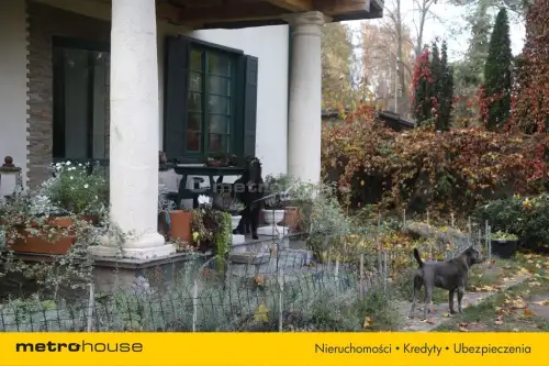 Grotniki ,  Zielona   56