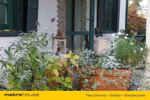 Grotniki ,  Zielona   9