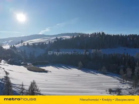 Jaworki ,  Biała Woda   28