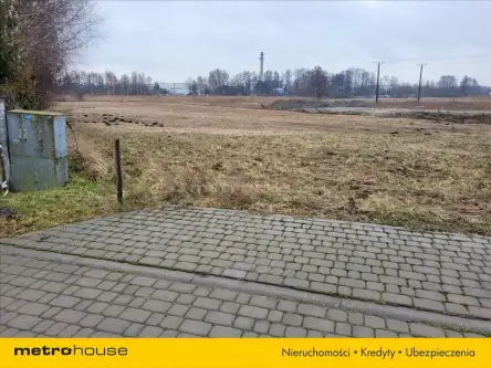 Radzyń podlaski   3