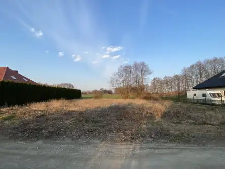  Brzozówka   Aroniowa 