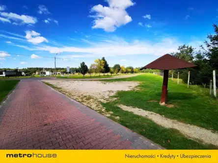 Stradomia wierzchnia   15