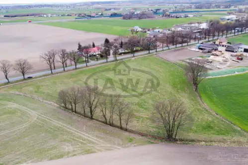 Borówno ,  Gdańska   4