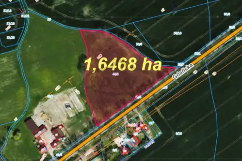 Borówno ,  Gdańska   8