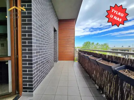 Kraków ,  Macedońska   4