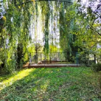 Szczecin ,  Aleja Powstańców Wielkopolskich   6