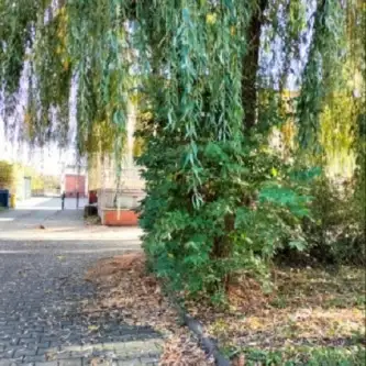 Szczecin ,  Aleja Powstańców Wielkopolskich   8