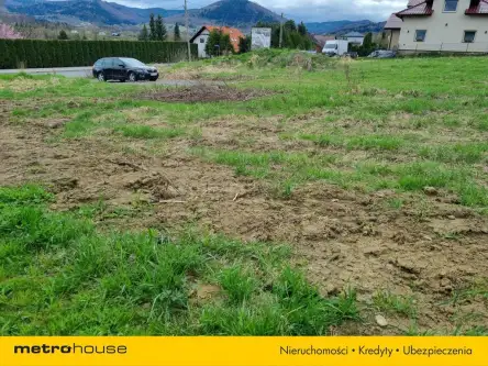 Lipowa ,  Lipowska   11