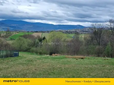 Lipowa ,  Lipowska   4