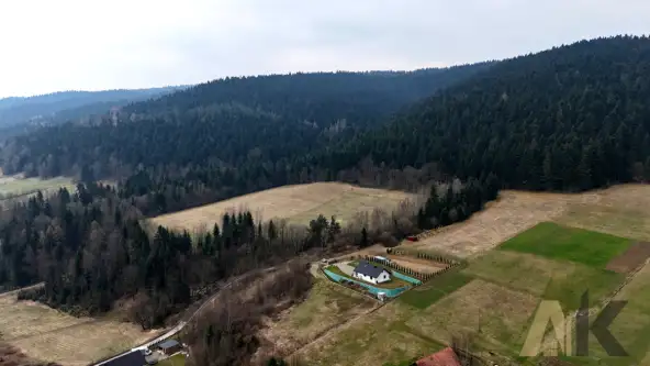 Królowa górna   19