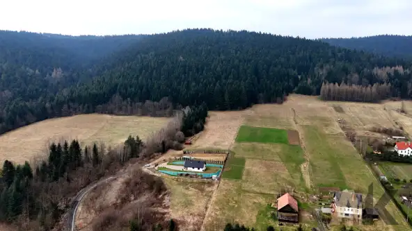 Królowa górna   21