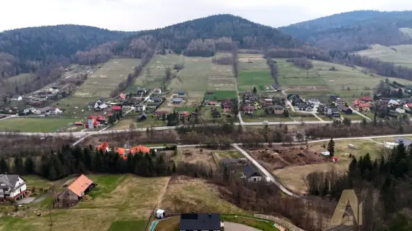 Królowa górna   11