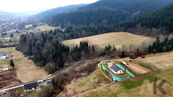 Królowa górna   17