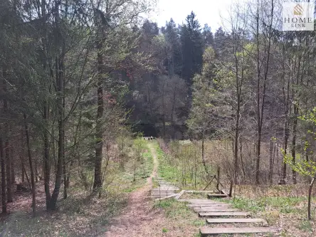 Dywity ,  Hynka   18