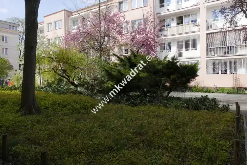 Warszawa ,  Franciszkańska   18