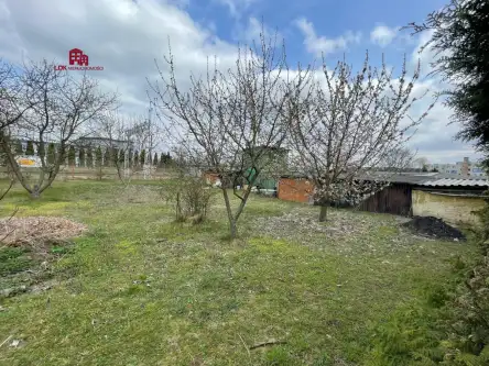 Rzepin ,  Wolności   18