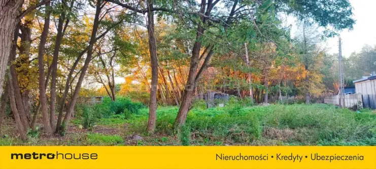 Skierniewice ,  Przechodnia   