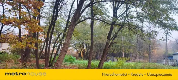 Skierniewice ,  Przechodnia   2