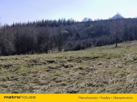 Zawiercie ,  Jurajska   10