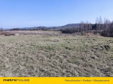 Zawiercie ,  Jurajska   2