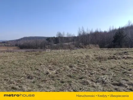 Zawiercie ,  Jurajska   9