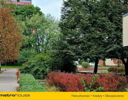 Katowice ,  Wajdy   6