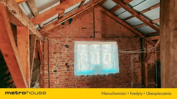 Budy trzcińskie   4