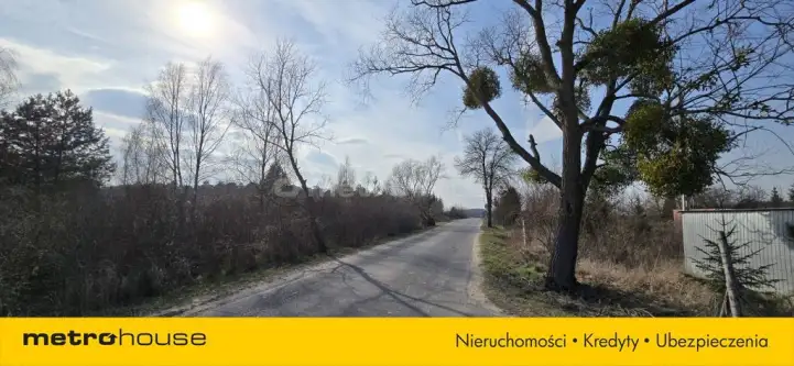 Zamek bierzgłowski ,  Bolesława Chrobrego   5