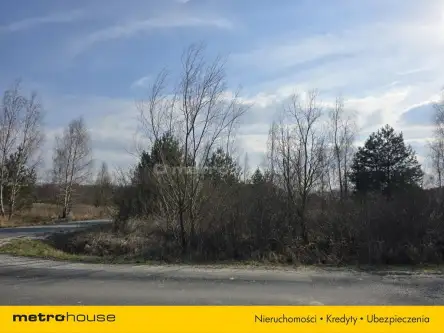 Zamek bierzgłowski ,  Bolesława Chrobrego   6