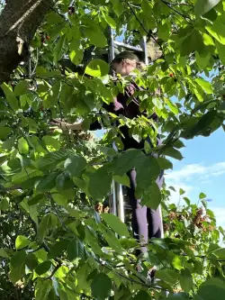 Kalisz ,  Poranna   8