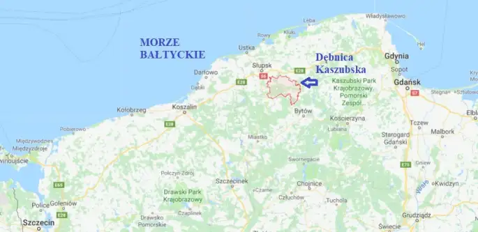  Dębnica kaszubska   Jabłoniowa 