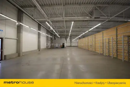 łask ,  Zielona   3