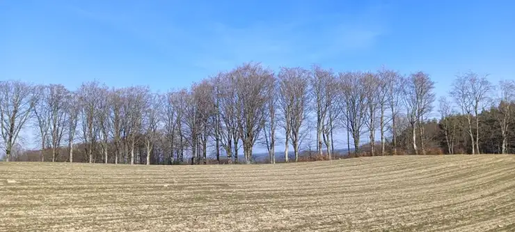 Gościcino ,  Cyprysowa   11