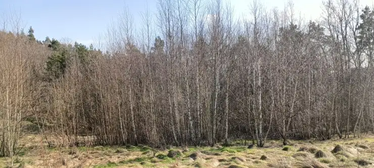 Gościcino ,  Cyprysowa   15